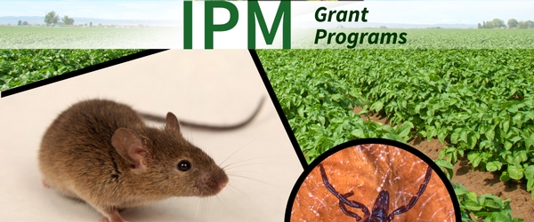 Northeastern Ipm Center Opens Call For Proposals Northeastern