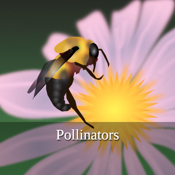 https://www.northeastipm.org/neipm/assets/Image/pollinators.jpg