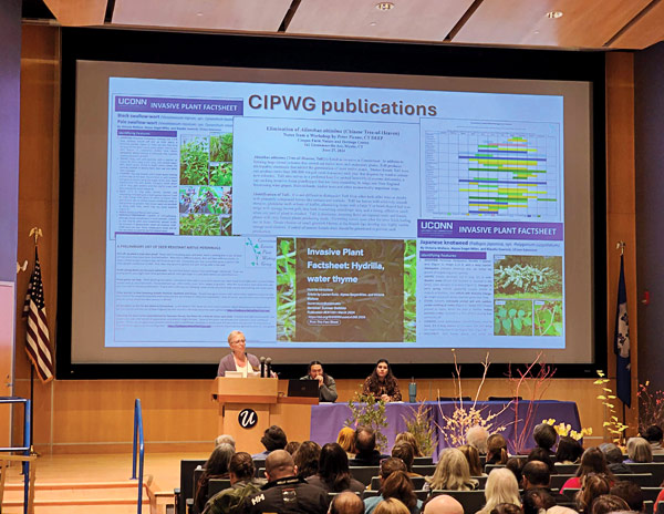 Victoria Wallace speaks at the Connecticut Invasive Plant Working Group’s symposium.