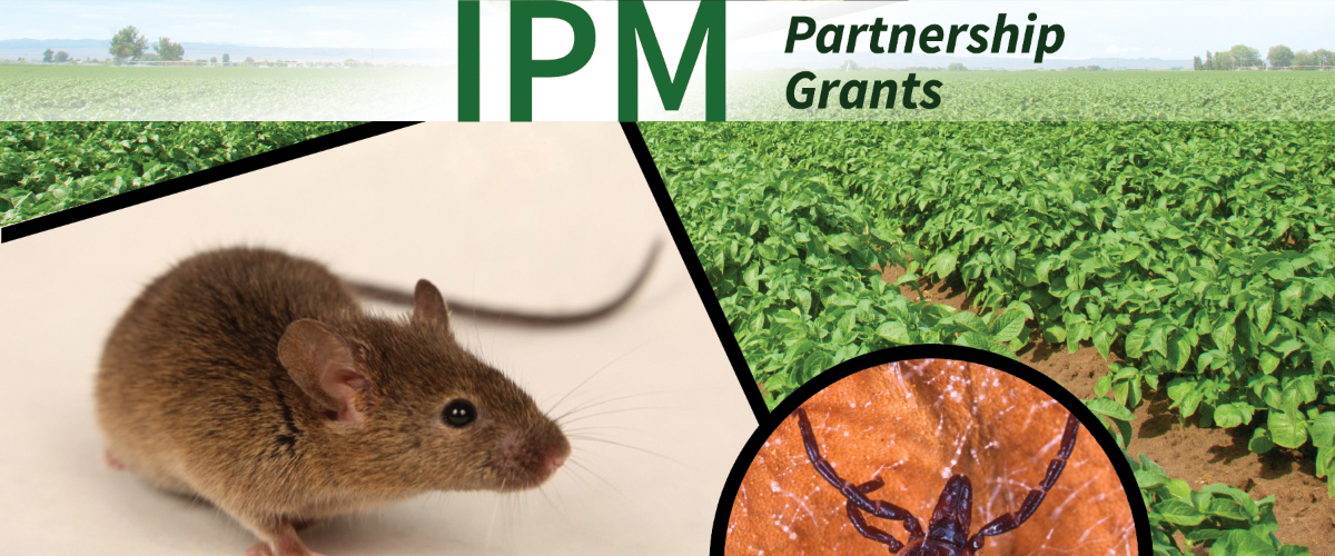 Northeastern IPM Center Announces Request for Applications for 2025 IPM Partnership Grants