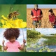 Call for Nominations: 2025 Outstanding Achievements in Integrated Pest Management Award